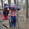 02 Aktion Februar 25 Tiere im Winterwald